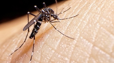 Dengue: 16 municipios ya dieron por finalizado el brote y caen los casos por octava semana