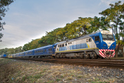 Trenes Argentinos clausuró por 60 días el paso a nivel Entre Ríos del San Martín