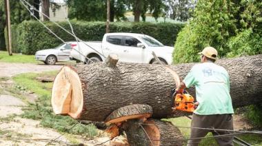 Pilar: El Municipio continua trabajando en el barrio Santa Paula
