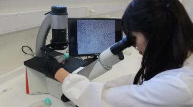 La Universidad de Moreno busca revolucionar la producción de vacunas con este proyecto