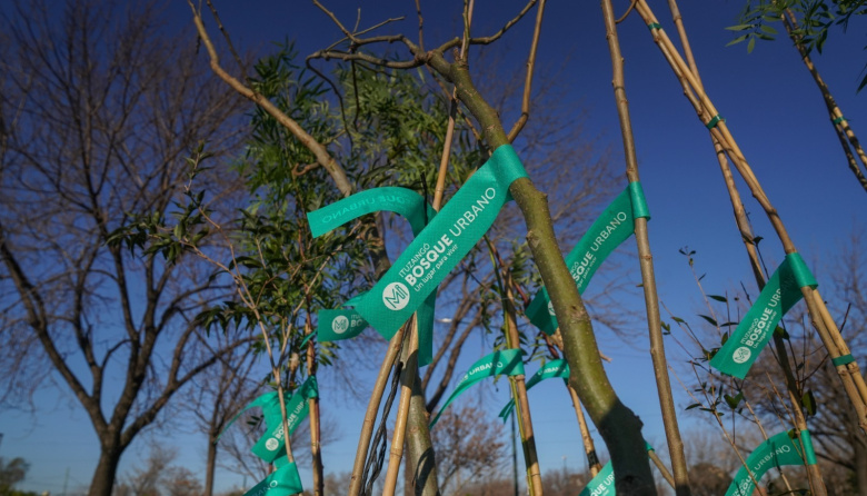 La localidad de Ituzaingó recibió un reconocimiento por su compromiso con el medio ambiente