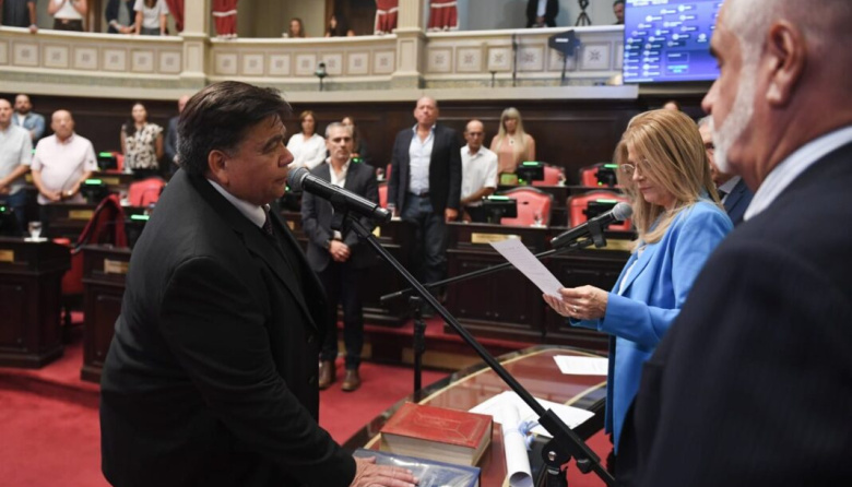 Senado: Mario Ishii se quedó con la vicepresidencia primera