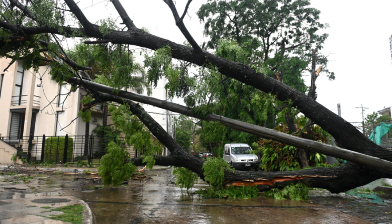 Intenso temporal afectó al AMBA: inundaciones y destrozos en distintas zonas