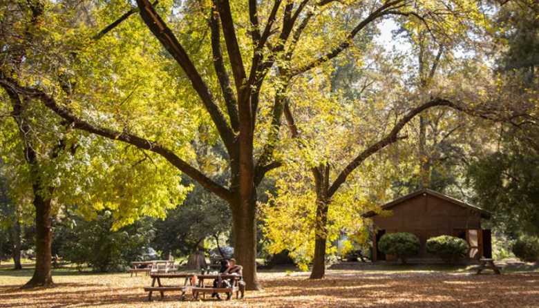 Otoño en Moreno: propuestas al aire libre y escapadas naturales a pocos kilómetros de CABA