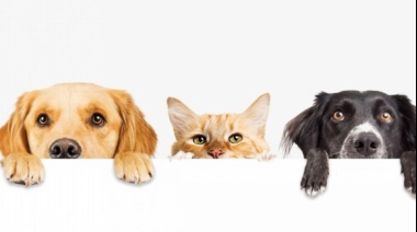 Comercios de Tres de Febrero ofrecerán descuentos en alimentos y peluquería para mascotas