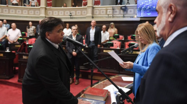 Senado: Mario Ishii se quedó con la vicepresidencia primera