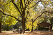 Otoño en Moreno: propuestas al aire libre y escapadas naturales a pocos kilómetros de CABA