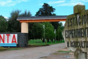 INTA: una medida cautelar frenó el cierre de una sede clave en el Conurbano
